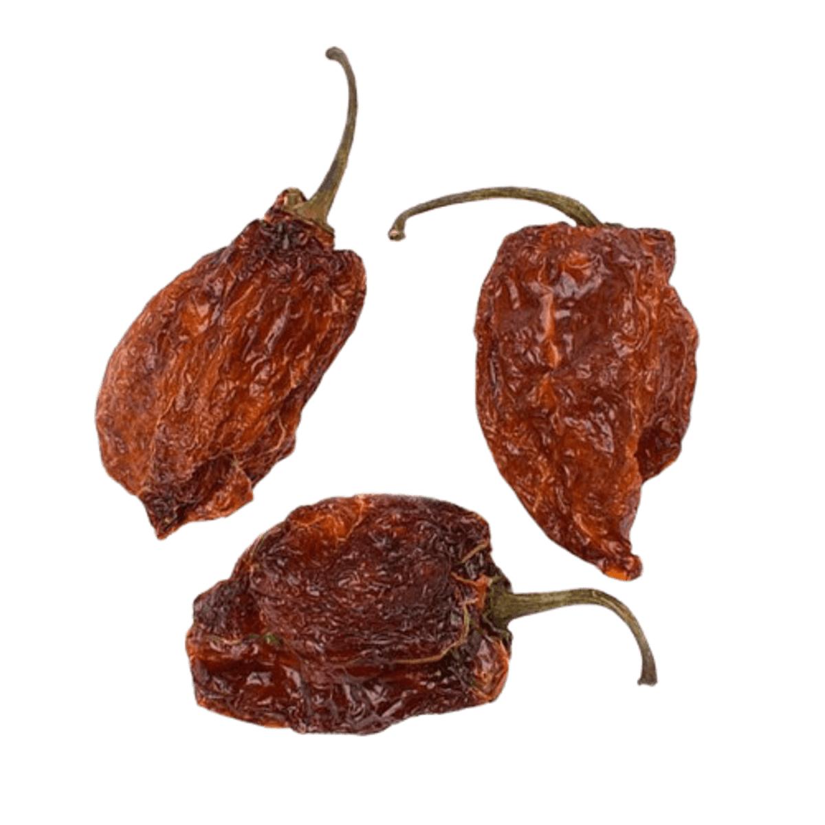 Tørket Habanero Chili 50g / Kaktus